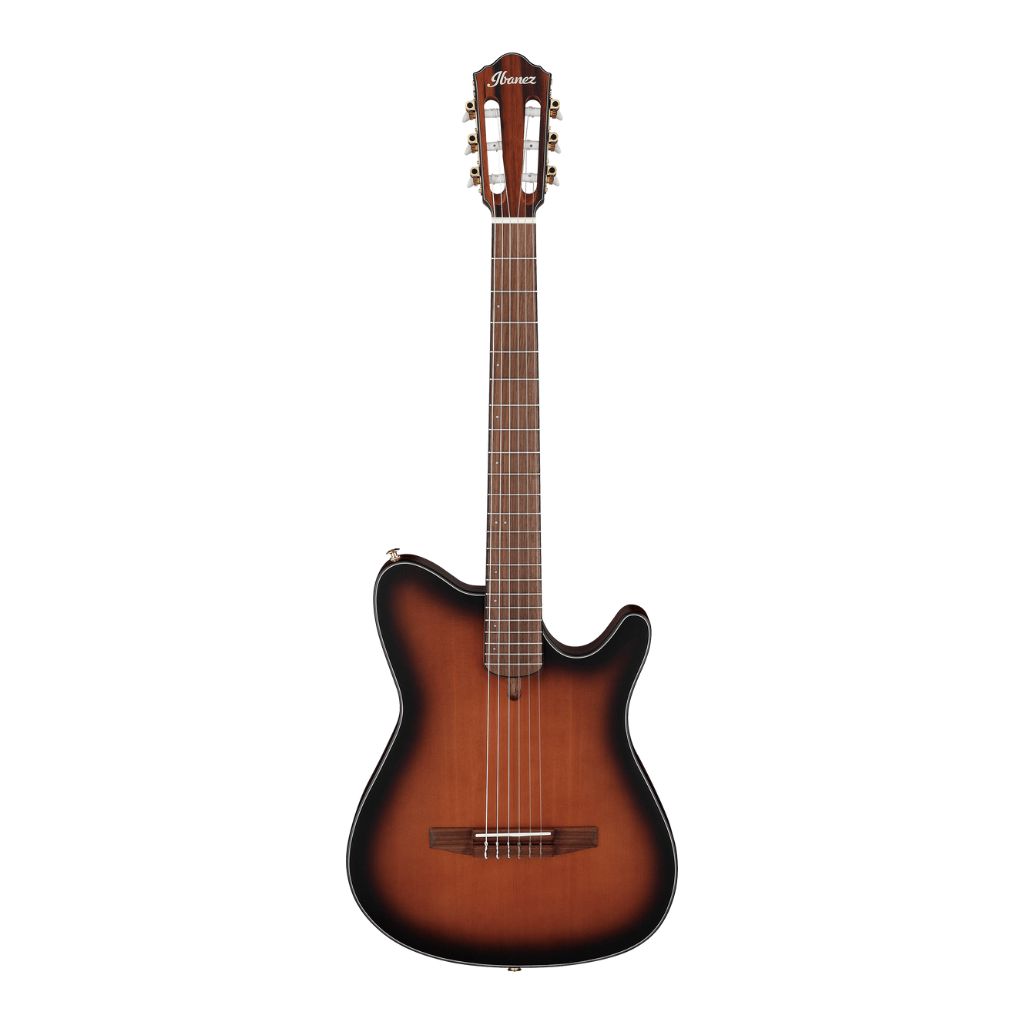 Ibanez FRH10N Electro-Nylon Guitar